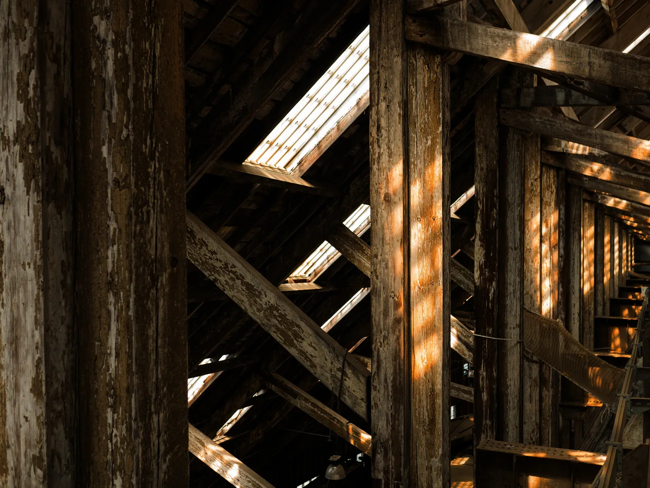 Timber structural framework illuminated by daylight